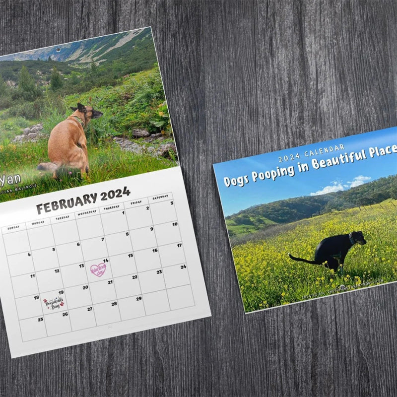 2024 Dogs Pooping in Beautiful Places Calendar