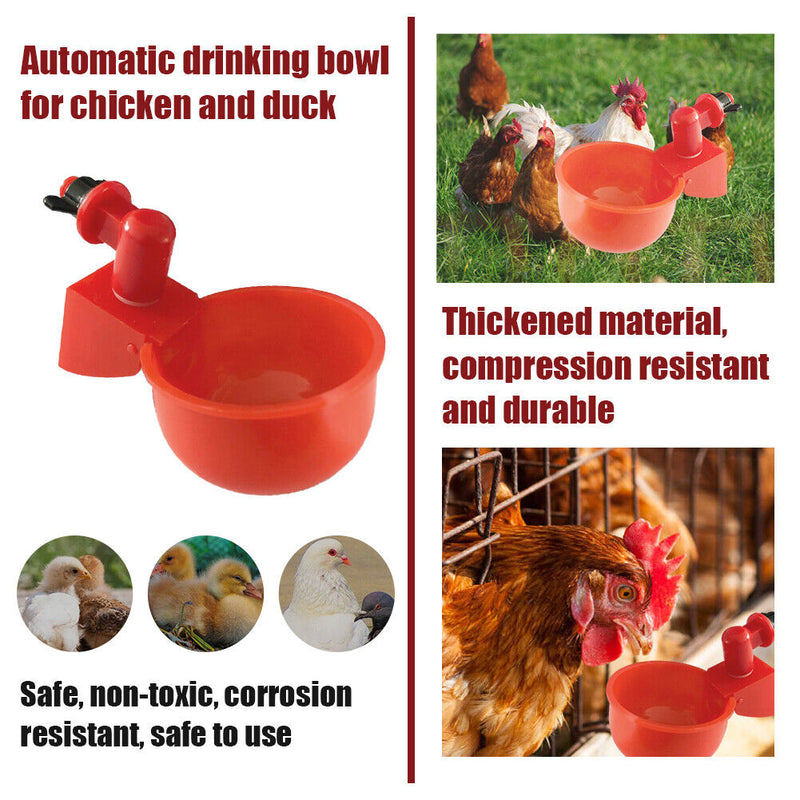 Automatic Poultry Waterer