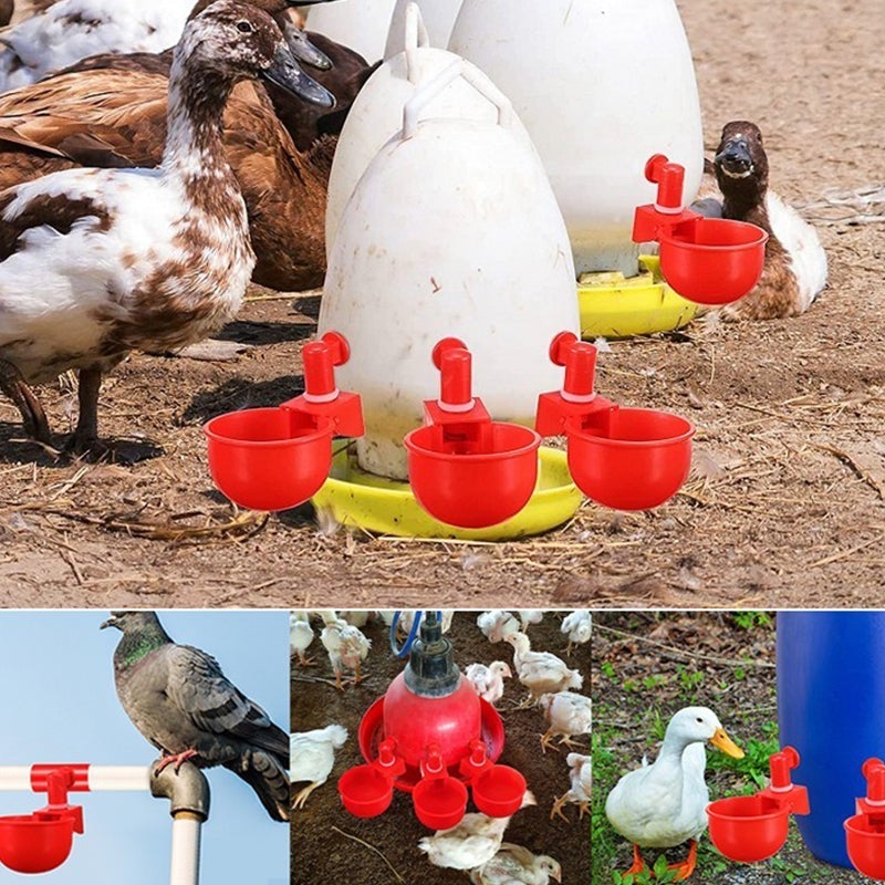 Automatic Poultry Waterer